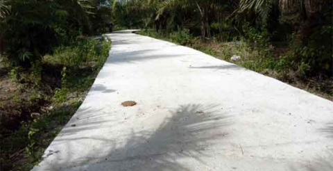 Pemkab Bengkulu Selatan Kucurkan Rp 3,2 Miliar untuk Pembangunan Jalan Sentra Produksi