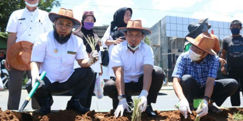 Gerakan "Ayo Menanam" Helmi/Dedi
