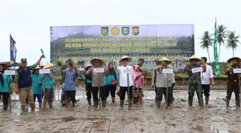 Daerah