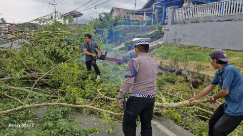 Satlantas Polres Kepahiang Lakukan Pemangkasan Pohon Antisipasi Pohon Tumbang di Jalan Lintas Kepahiang