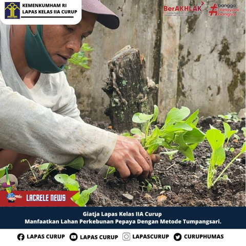 Lapas Curup Berikan Pembinaan Dalam Pelatihan Berkebun Bagi Warga Binaan