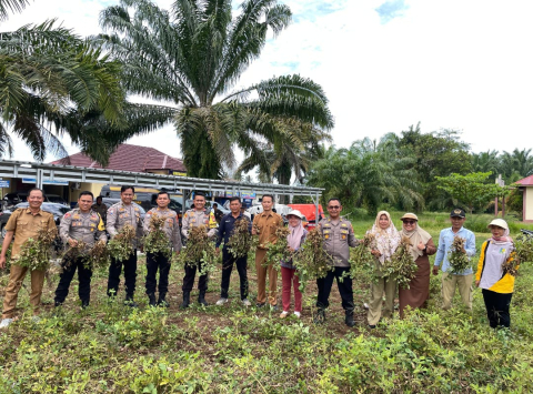 Polres Bengkulu Selatan Gelar Panen Kacang untuk Dukung Ketahanan Pangan