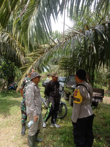 Polres Bengkulu Selatan Lakukan Pendampingan Pemangkasan Pohon di Jalur Sutet