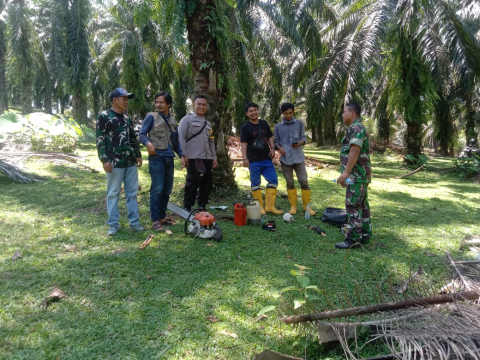Bhabinkamtibmas Polsek Manna Laksanakan Pendampingan Pemangkasan Pohon di Jalur SUTET