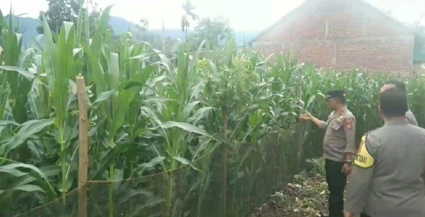 .
