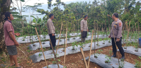 Polsek Lebong Selatan Siapkan Launching Program Pekarangan Pangan Lestari