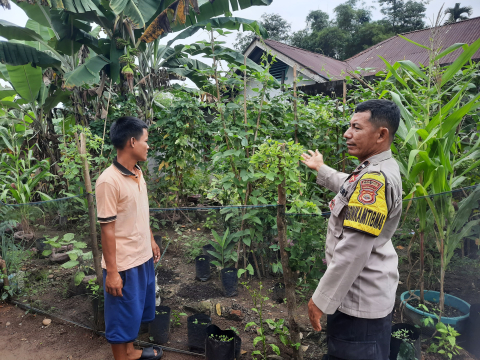 Polsek PU. Tanding Dukung Ketahanan Pangan, Bhabinkamtibmas Ajak Warga Manfaatkan Pekarangan