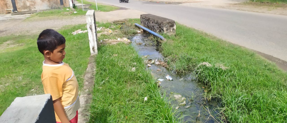 Bengkulu Selatan