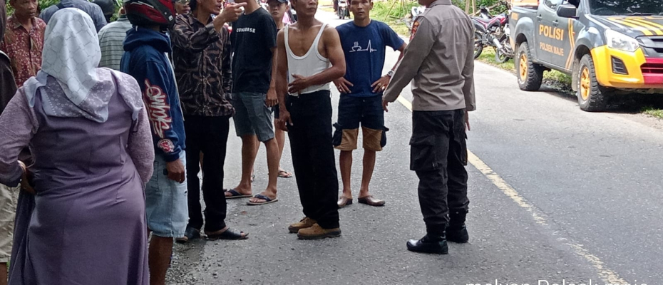 IRT di Kaur Jadi Korban Tabrak Lari Truk Warna Merah