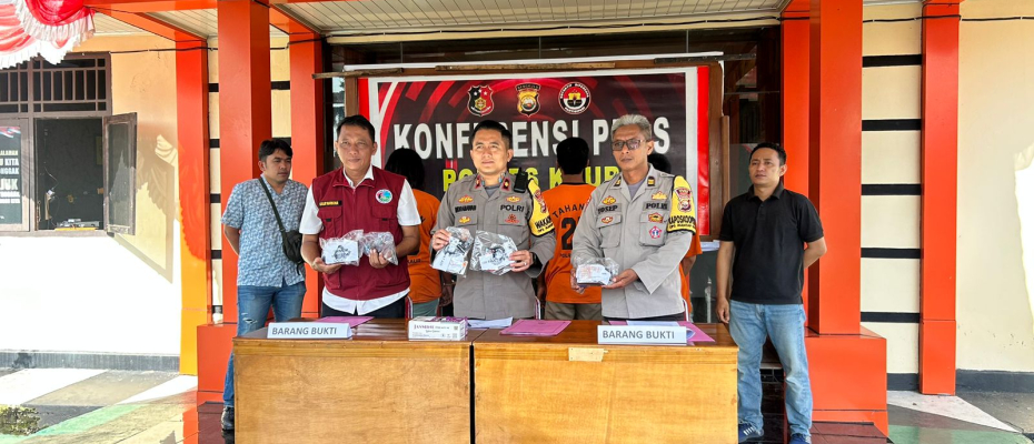 Ops Antik Nala, 6 Tersangka Ditangkap Polres Kaur
