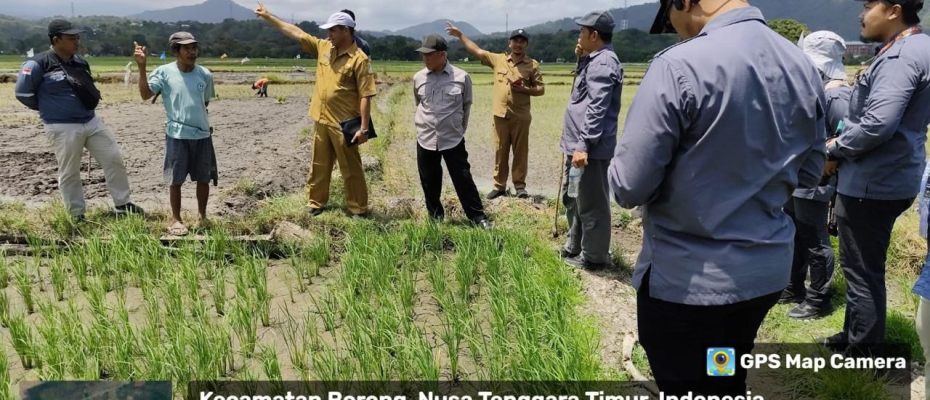 Satgassus Pencegahan Korupsi Polri lakukan Monev Di Nusa Tenggara Timur