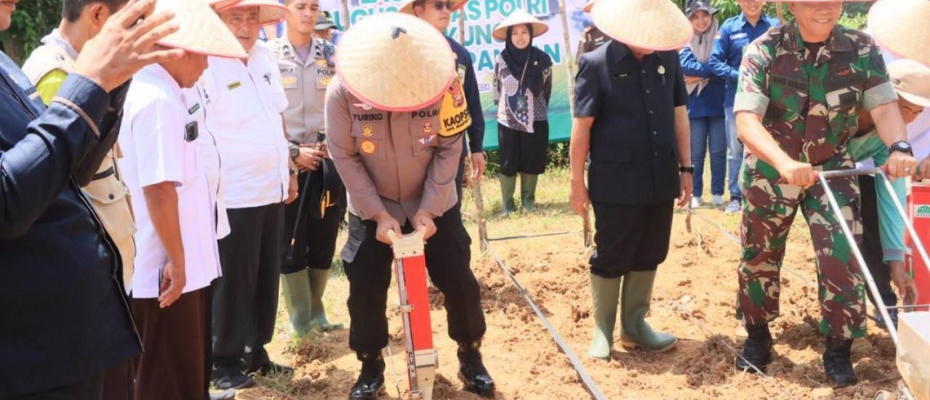 Polres Kaur Dukung Ketahanan Pangan Nasional dengan Tanam Jagung di Lahan 1 Hektar 