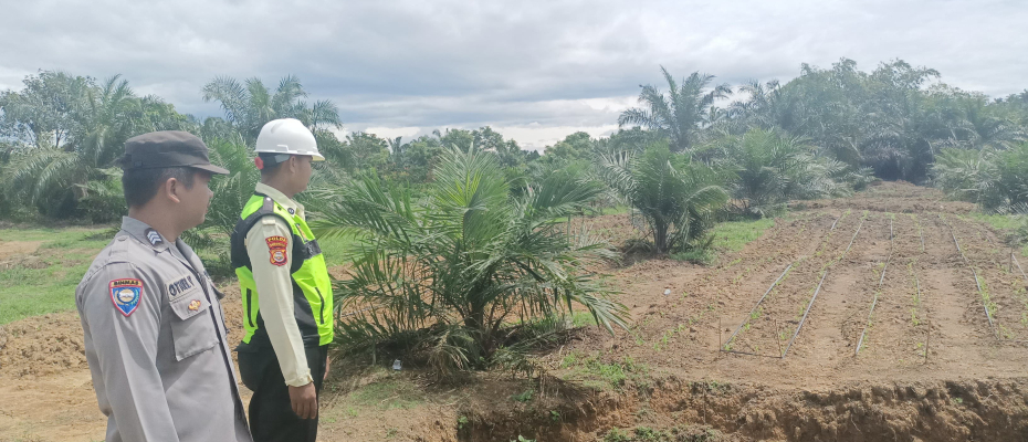 Polsek Pino Raya Lakukan Pemantauan Lahan Ketahanan Pangan di Desa Nanjungan