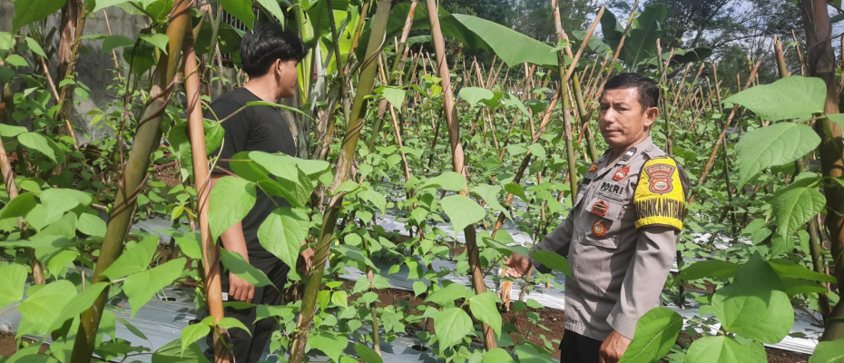 Bhabinkamtibmas Polsek PU. Tanding Sambangi Warga, Dukung Ketahanan Pangan