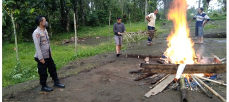 Polsek Curup Bongkar dan Musnahkan Tempat Judi Sabung Ayam