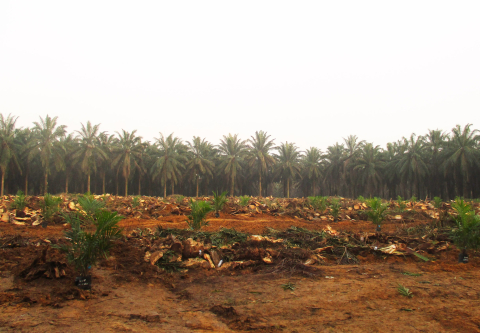 Daerah
