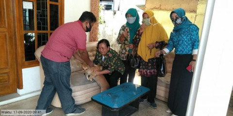 Dinas Pangan dan Pertanian