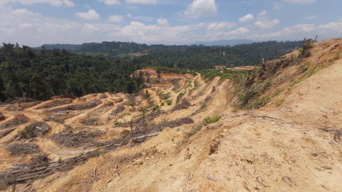 Aktivitas perusakan hutan di dalam konsesi PT Nia Yulided Bersaudara