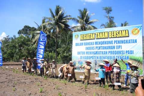 bengkulu tengah