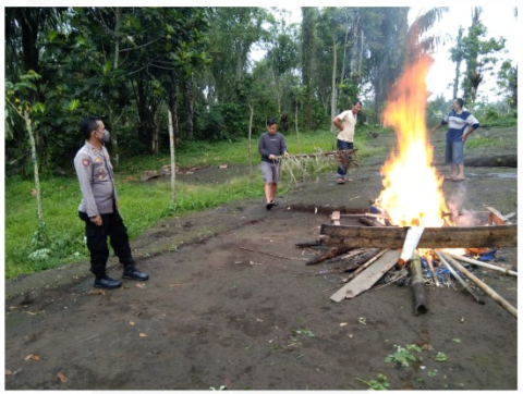 Polsek Curup Bongkar dan Musnahkan Tempat Judi Sabung Ayam