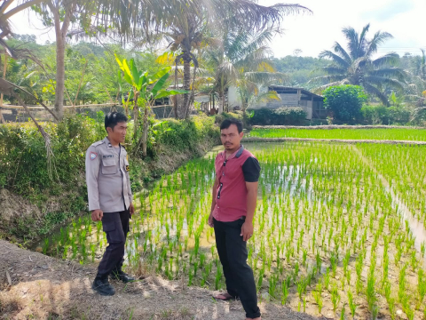 daerah
