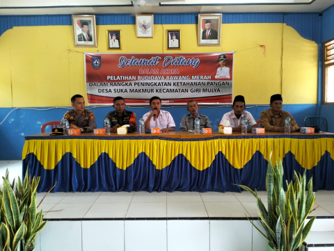 hukum
