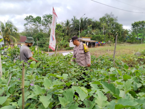 Sambang Warga Tanaman Pangan Lestari Bhabinkamtibmas Polsek Ketahun Turun Langsung ke Desa