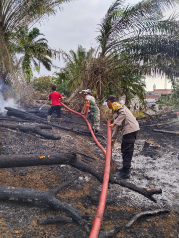 LAHAN PERKEBUNAN KARET MILIK WARGA TERBAKAR , TNI-POLRI BERSAMA PEMADAM DAN MASYARAKAT BANTU PADAMKAN API