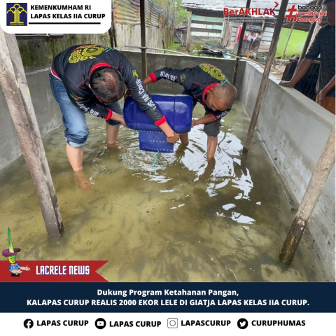 Lapas Curup Budidayakan Dua RIbu Ekor Ikan Lele, Siap Pasarkan ke Masyarakat