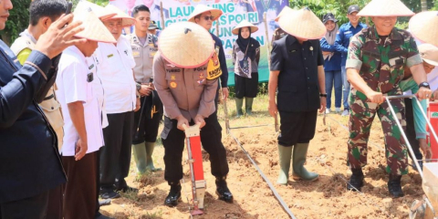 Polres Kaur Dukung Ketahanan Pangan Nasional dengan Tanam Jagung di Lahan 1 Hektar 