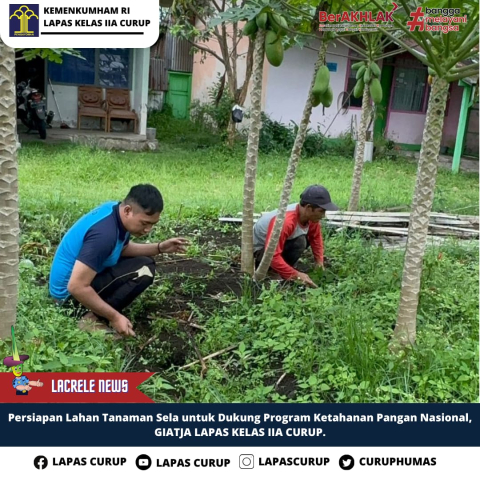 Lapas Curup Maksimalkan Pemeliharaan Produksi Buah Pepaya
