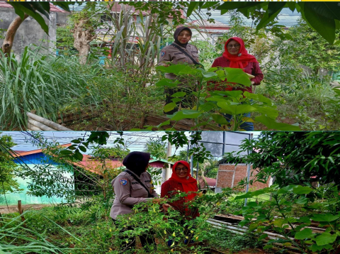 Bhabinkamtibmas Polsek Ratu Agung Baru Dorong Pemanfaatan Lahan untuk Tanaman Produktif
