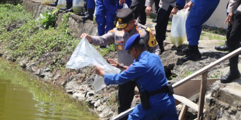 Dukung Program Presiden Terkait Ketahanan Pangan dan Pemberdayaan Ekonomi Masyarakat, Kapolda Bengkulu Tebar Benih Ikan Nila 
