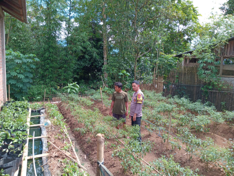 Dukung Ketahanan Pangan, Bhabinkamtibmas Polsek Lebong Utara Monitoring Pemanfaatan Lahan