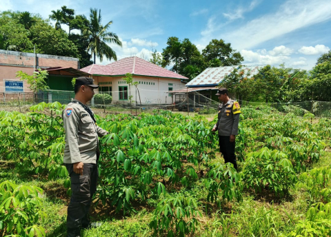 Polsek Taba Penanjung Monitoring Lahan Ketahanan Pangan