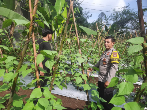 Bhabinkamtibmas Polsek PU. Tanding Sambangi Warga, Dukung Ketahanan Pangan
