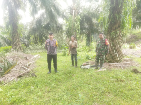 Polres Bengkulu Selatan Dampingi Pemangkasan Pohon di Jalur SUTET untuk Keamanan Listrik 