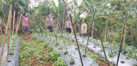 Kapolsek Lebong Selatan Pantau Persiapan Launching Penguatan Program Pekarangan Pangan Lestari