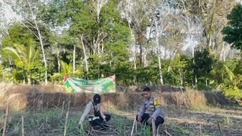 .