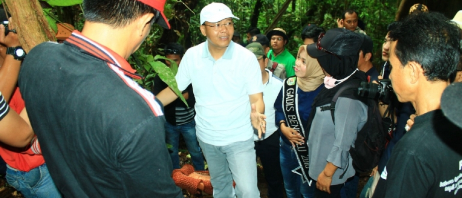 Plt Gubernur mengunjungi Habitat Rafflesia di Kawasan Cagar Alam Taba Penanjung Bengkulu Tengah