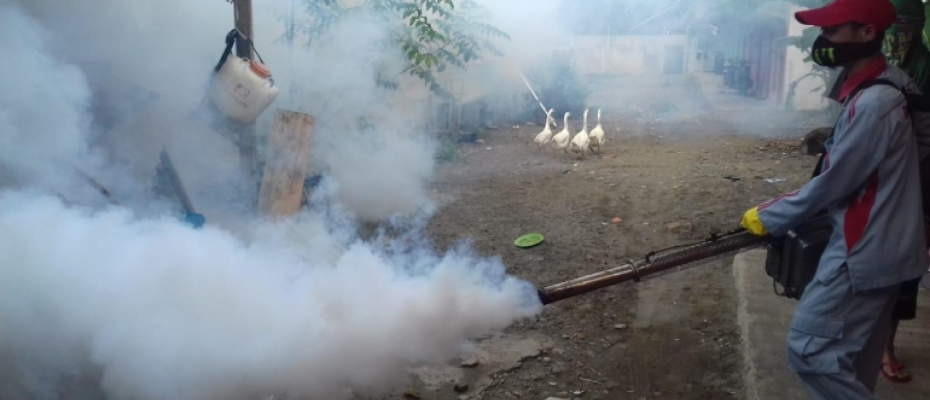 Dinas Kesehatan Bengkulu Selatan Lakukan Fogging