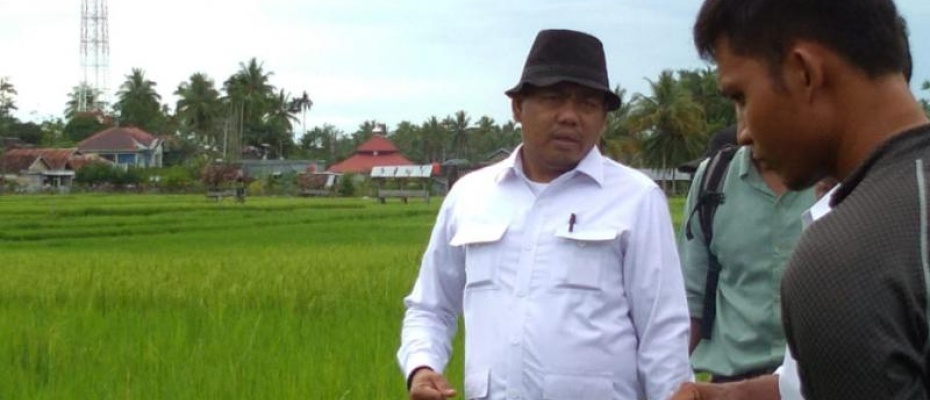 Saat dinas PUPR Kaur pantau irigasi ke sawah