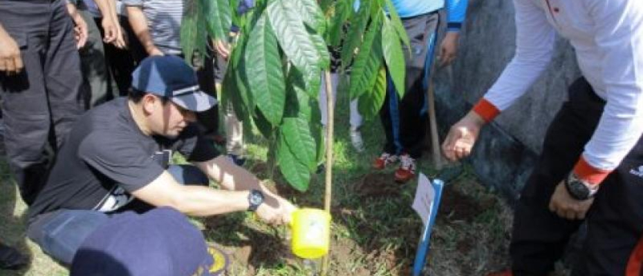 Dedy Wahyudi melaksankan kegiatan penanam pohon di Kecamatan selebar.