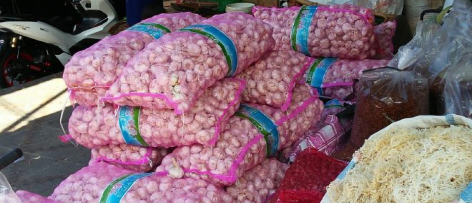 kota bengkulu