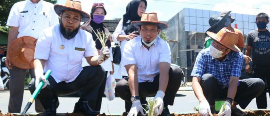 Gerakan "Ayo Menanam" Helmi/Dedi