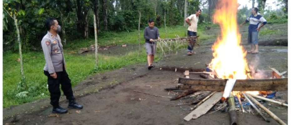 Polsek Curup Bongkar dan Musnahkan Tempat Judi Sabung Ayam