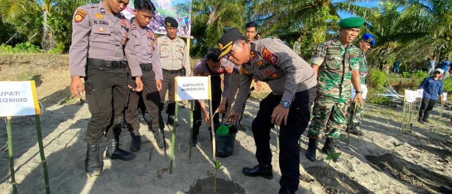 hukum