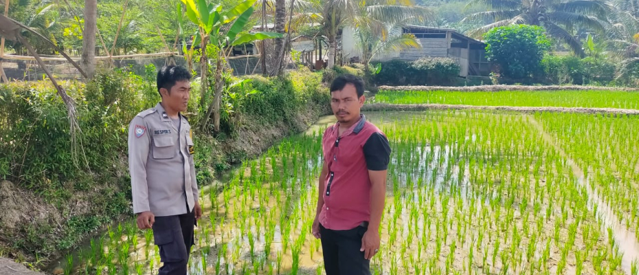 daerah