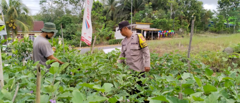 Sambang Warga Tanaman Pangan Lestari Bhabinkamtibmas Polsek Ketahun Turun Langsung ke Desa