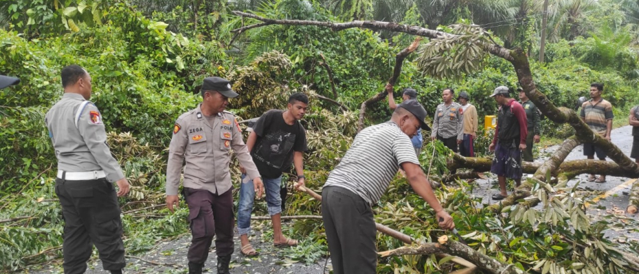 Dibantu Warga, Personel Polsek Maje Evakuasi pohon Tumbang yang Mengahadang Jalan 